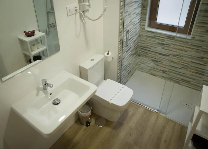 Daire Turisticos Haz Amigo